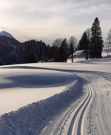 Entlang der Spechtenseeloipe durch Wörschachwald | © Schachner/Erlebnisregion Schladming-Dachstein