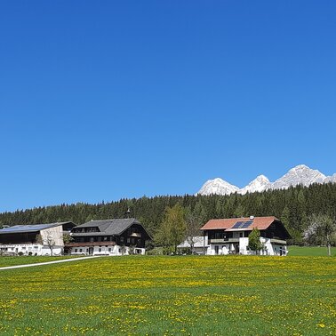 Frienerhof  im Frühling | © Frienerhof