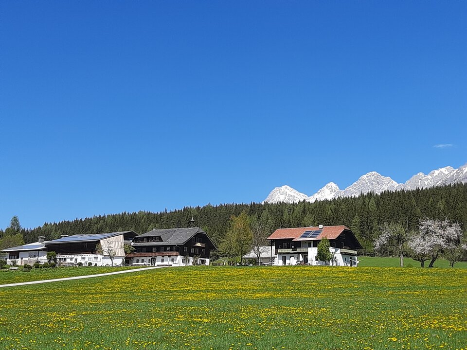 Frühling | © Frienerhof