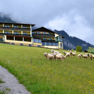 Das 3 * Superior Hotel Martin  | © Hotel Martin