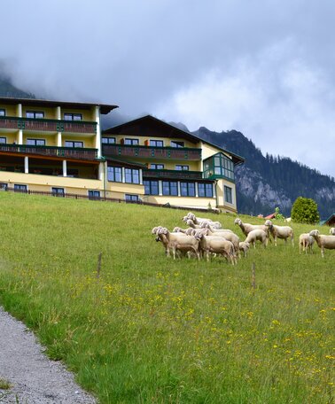 Das 3 * Superior Hotel Martin  | © Hotel Martin