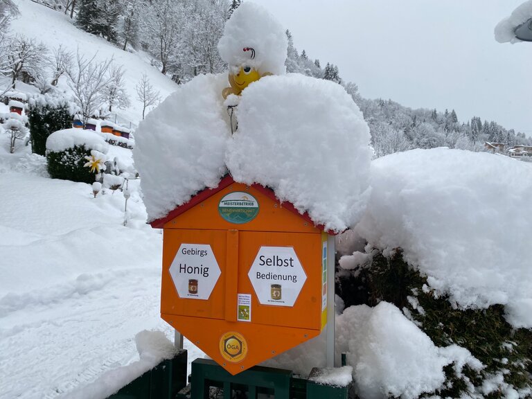 Imkermeisterbetrieb  - Impression #2.5 | © Gebirgsimkerei Schladming
