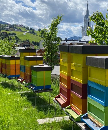 Gebirgsimkerei Schladming | © Johann Lettner