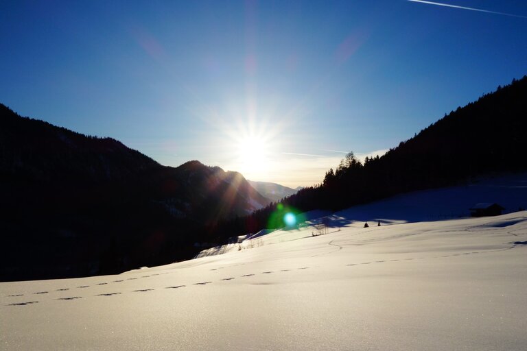 Inn Geringer - Imprese #2.8 | © Andrea Pertcht