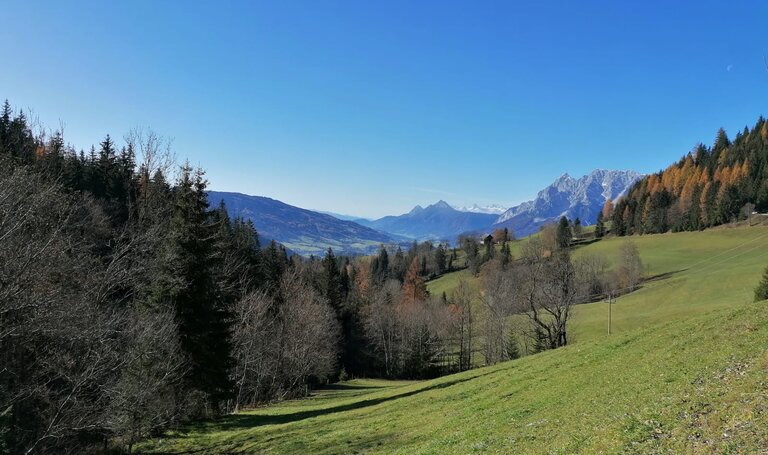 Blick vom Schwoaga Lehen | © TV Schladming-Dachstein