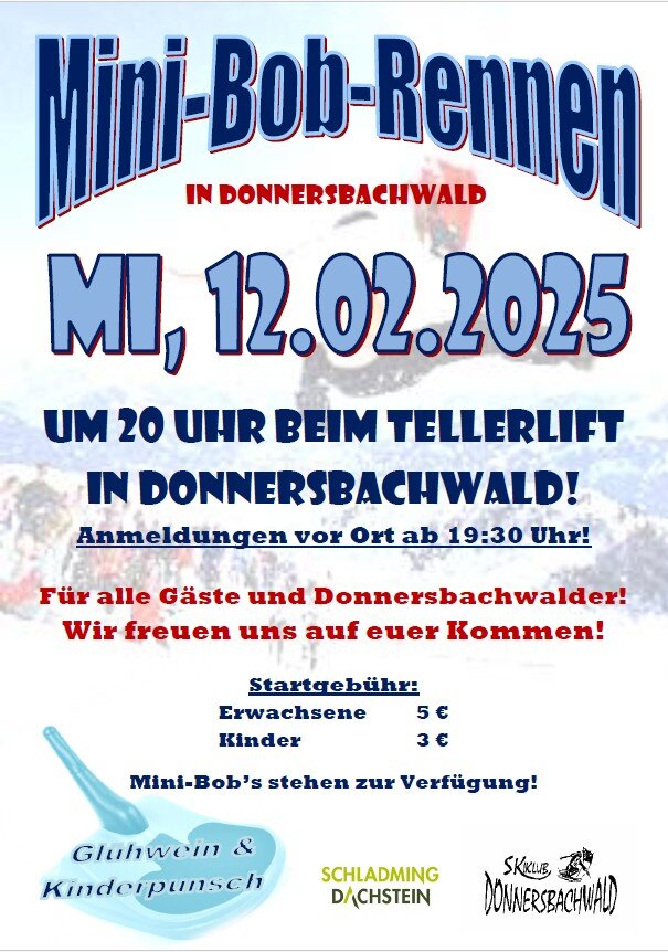Minibob-Rennen - Impression #2.2