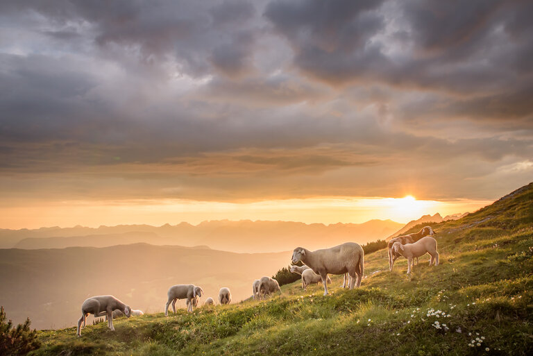 Guided Sunrise Tour - Impression #2.4