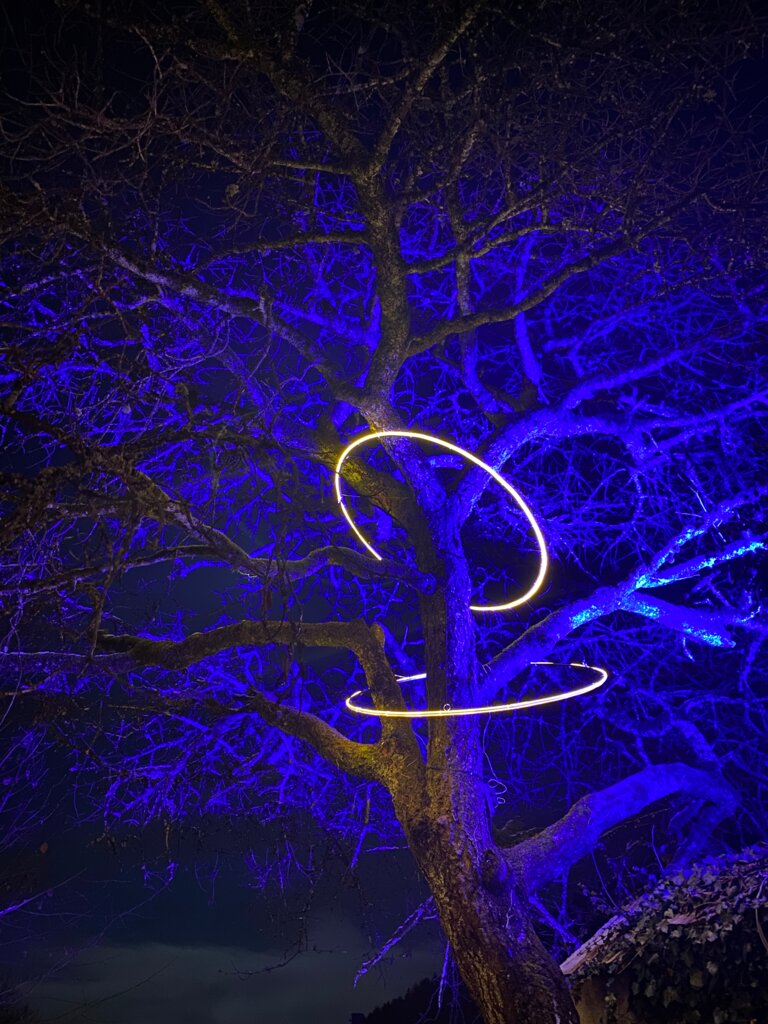 Lichterpfad 2025 - Impression #2.19