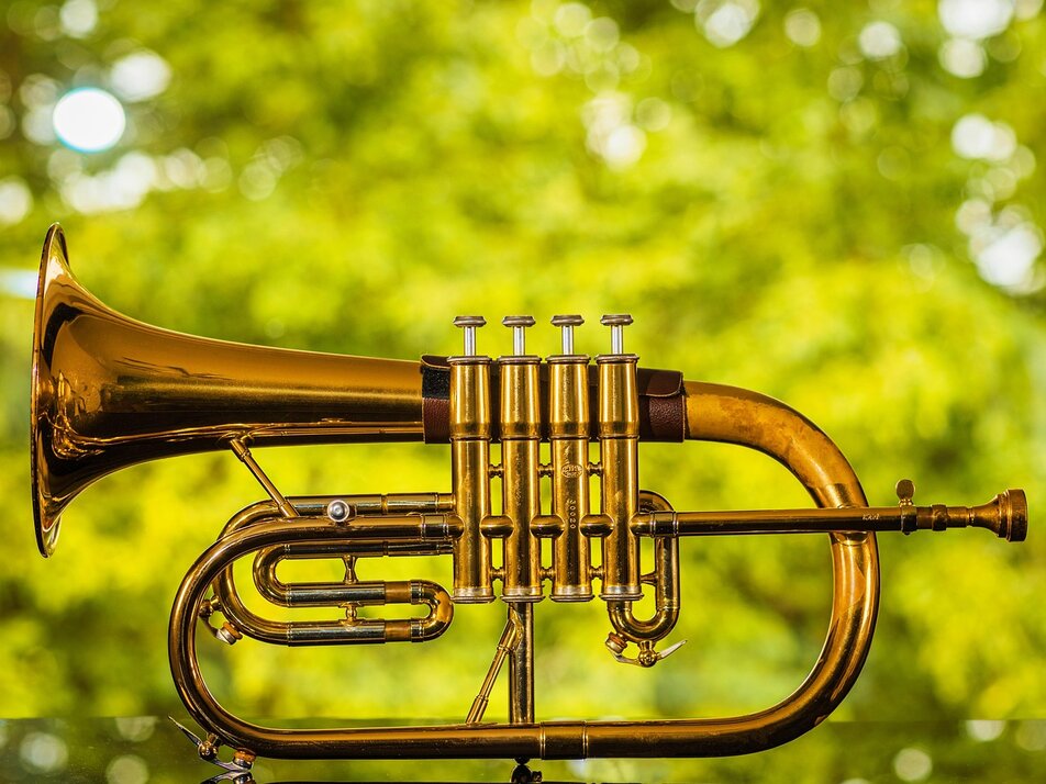Sommerfest "A Summa wia domois!" - Impression #1 | © Symbolbild Pixabay