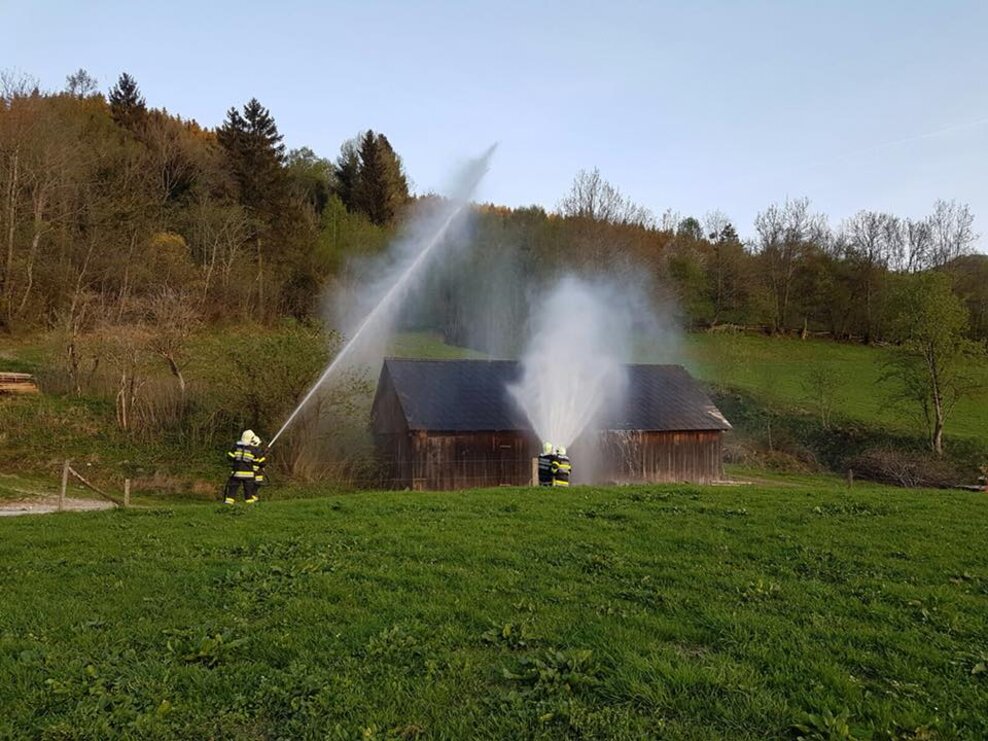 Maibaumaufstellen - Impression #2.1