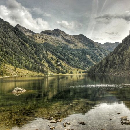 © Marlene Eggmayr