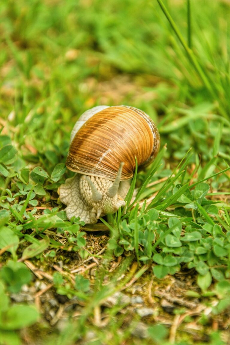 © Marlene Eggmayr