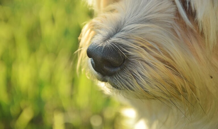 © Marlene Eggmayr