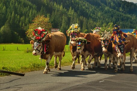 © TVB Schladming-Dachstein | Marlene Eggmayr