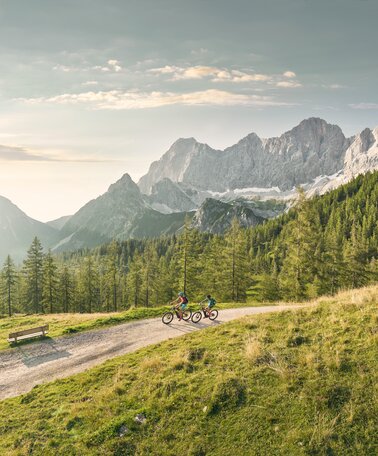 Mountainbike Urlaub in Schladming-Dachstein | © Peter Burgstaller