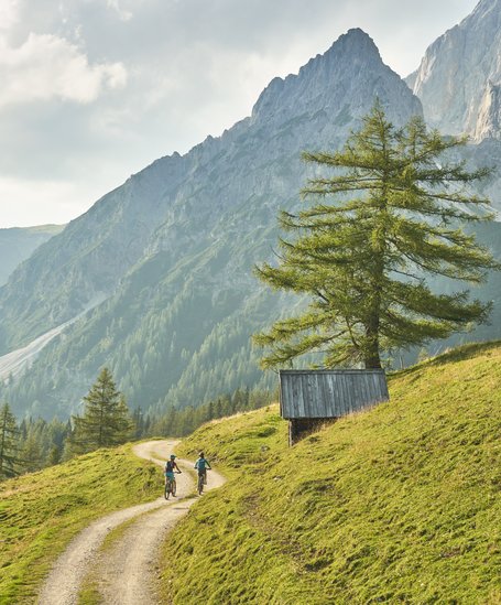 Mountainbiker umgeben von einem gewaltigen Bergpanorama | © Peter Burgstaller