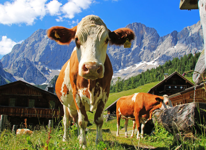 © Photo Austria