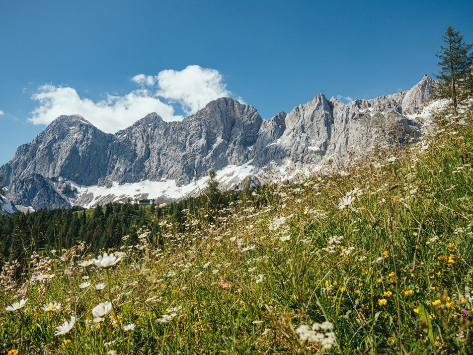 Blick auf das Dachsteinmassiv | © Christine Höflehner