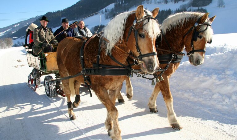 Pferdeschlittenfahrt in Schladming | © Herbert Raffalt