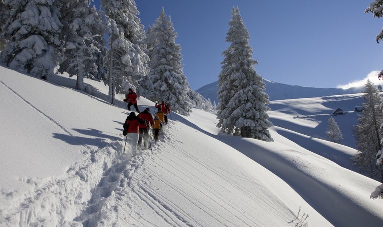 Geführte Schneeschuhwanderung in Schladming | © Josef Moritz