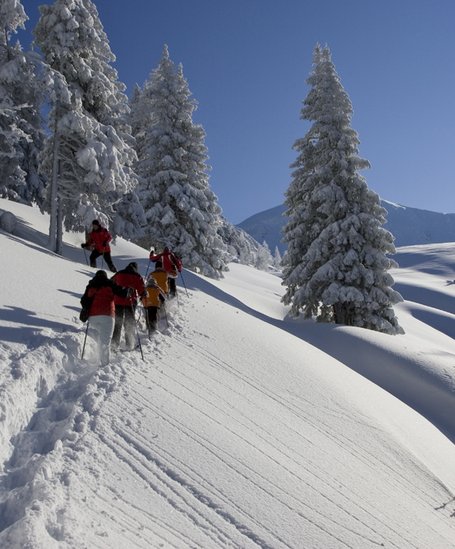 Geführte Schneeschuhwanderung in Schladming | © Josef Moritz