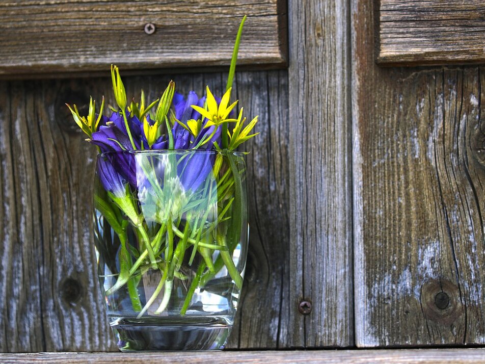 Blumen | © Symbolbild PixaBay / onkelglocke