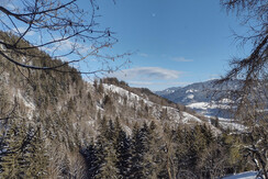 Ausblick nach Osten