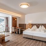 Photo of Suite, shower, toilet, 1 bed room