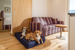 panoramaappartement_almfrieden_1-17