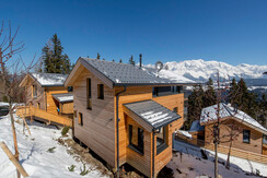 acr_c_06_0318_10
