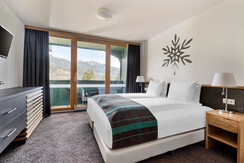 ALP-BDRM-2022-003