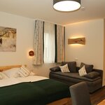 Pomiń zdjęcie Apartament, prysznic, WC, salon/sypialnia
