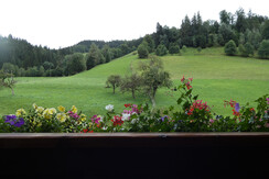 P1000651