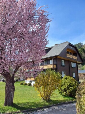 appsteiner_haus3