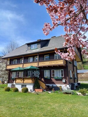 appsteiner_haus