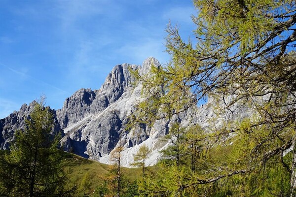 Dachsteinblick