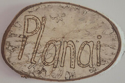 Appartment Planai