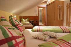 Bauernhof Haufhof Pension - DBZ 