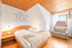 myNests-Apartment-Haus-im-Ennstal-Schladming-Dachs