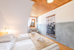 myNests-Apartment-Haus-im-Ennstal-Schladming-Dachs
