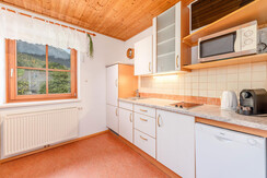 myNests-Apartment-Haus-im-Ennstal-Schladming-Dachs