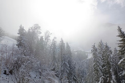 IMG_20240224_141226 (2)