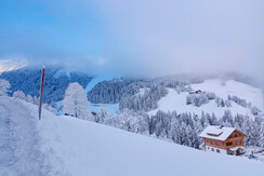 IMG_20240224_075724 (1)
