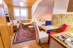 Fotos Wohnungen Landhaus Tritscher am 13.12.2021-1