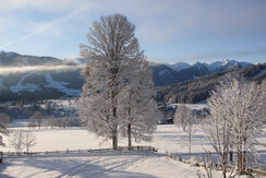 Winter Aussicht