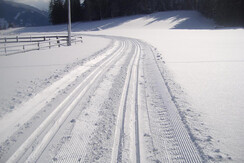 2008 Winter 5 096