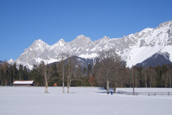 2008 Winter 5 144