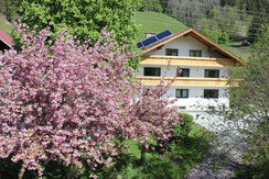 Haus neu