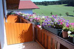 Südbalkon