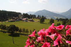 Balkon-Aussicht